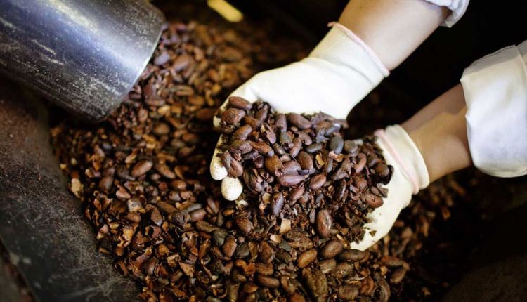 Commercial Coffee Roaster Machines: Technology & Buying Guide Coffee
